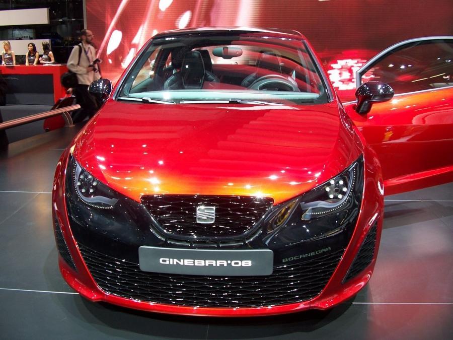  Seat SportCoupe Bocanegra 2008 года  (фото 5 из 15)